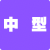 中型